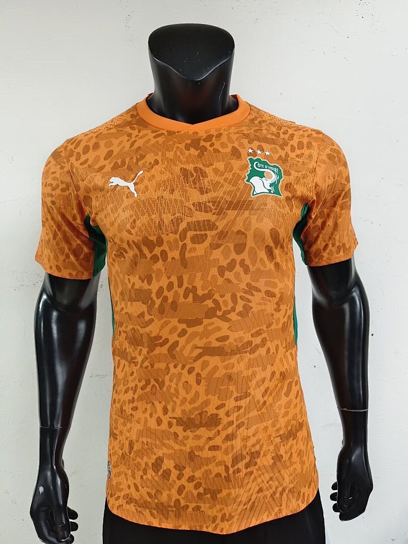 Elfenbeinküste WM 2026 Trikot - Spielerversion