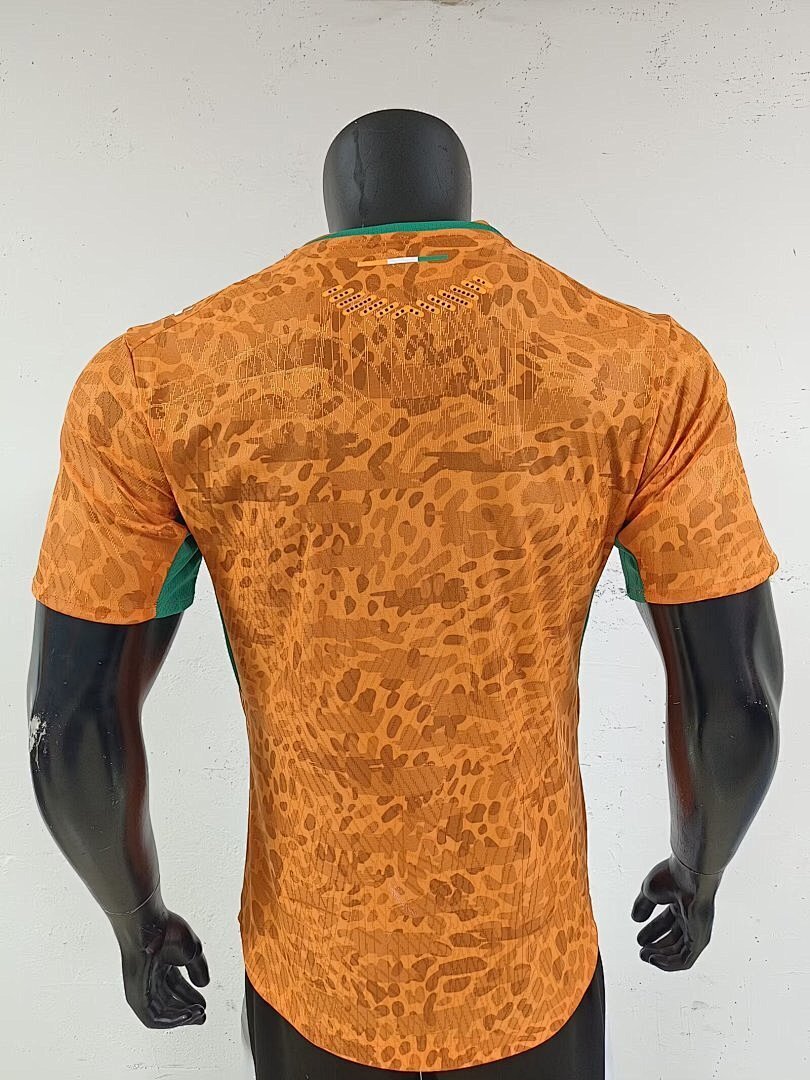 Elfenbeinküste WM 2026 Trikot - Spielerversion
