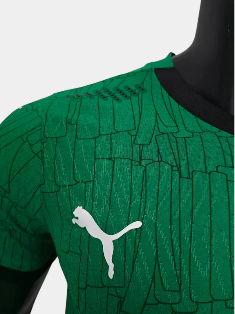 Elfenbeinküste WM 2026 Sonderedition II Trikot - Spielerversion