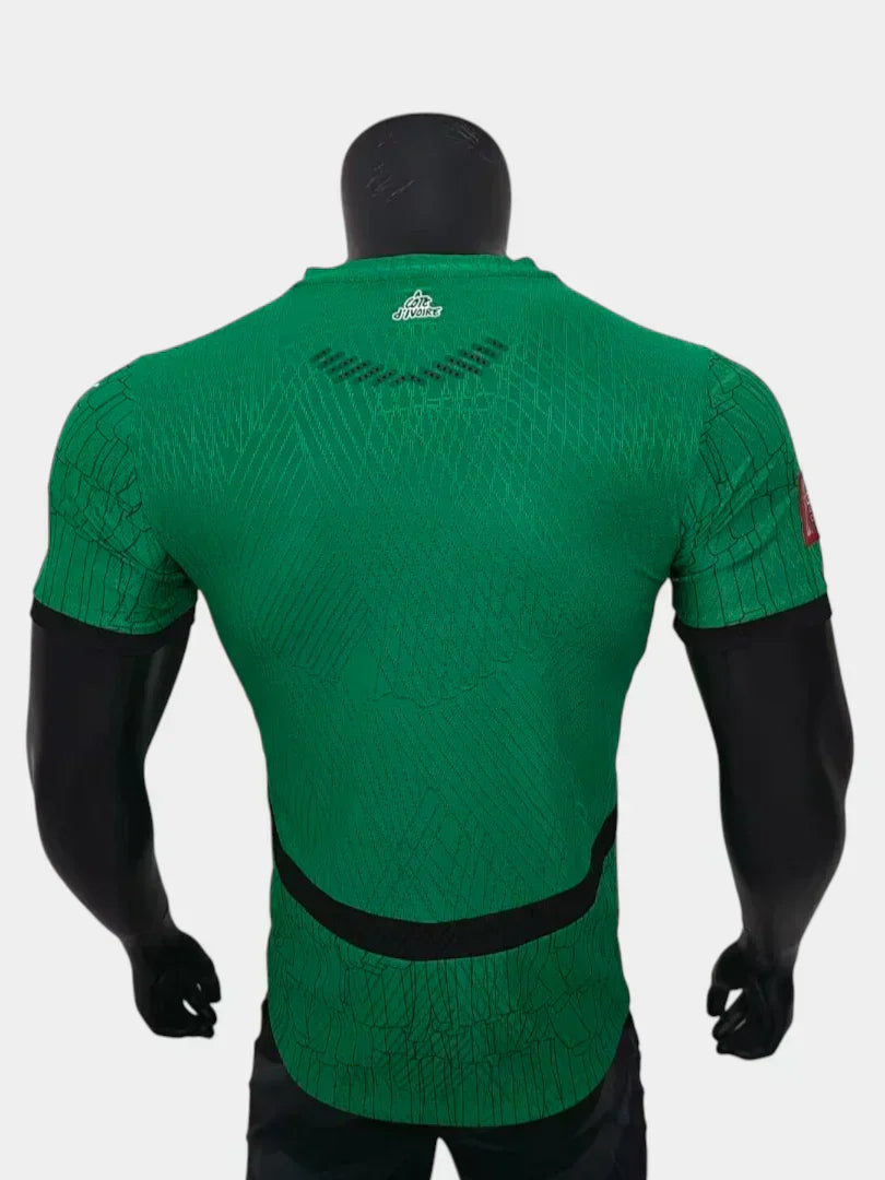 Elfenbeinküste WM 2026 Sonderedition II Trikot - Spielerversion